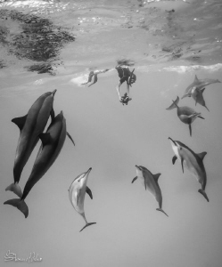 Big breathe by Steven Miller 